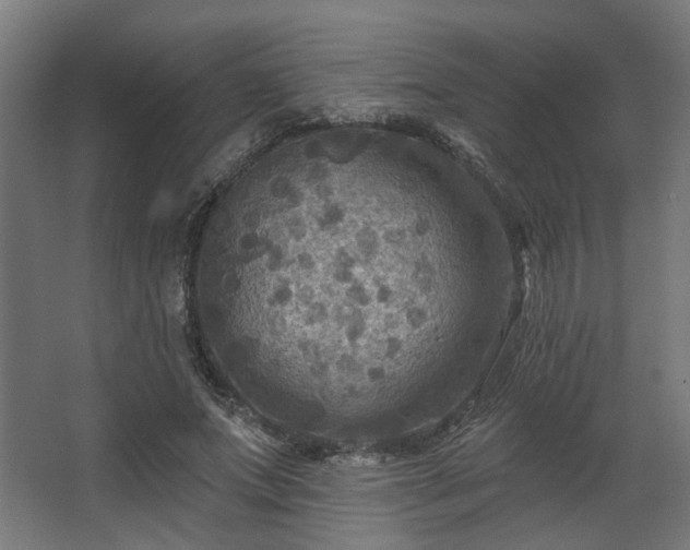 X0000067840687200604201242