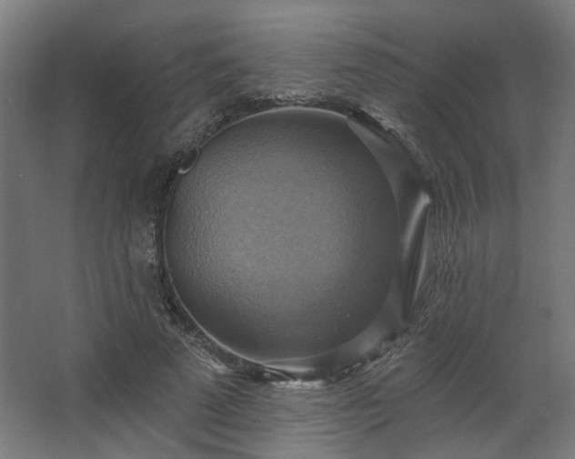 X0000067840689200604201242