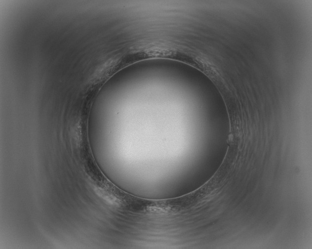 X0000067840690200604201242