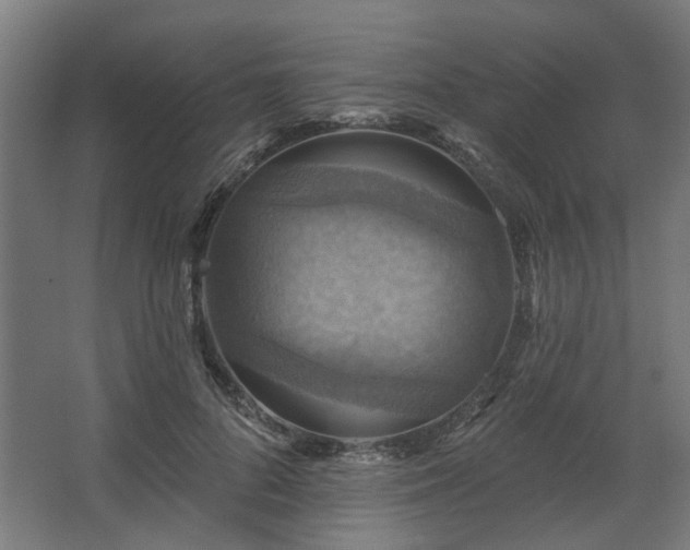 X0000067840696200604201242