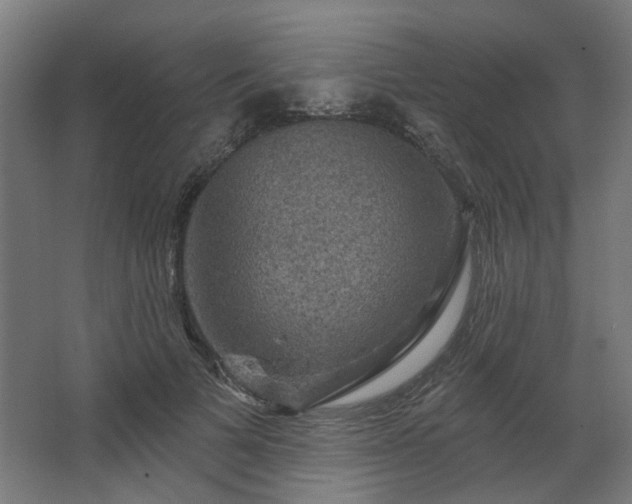 X0000067840697200604201242