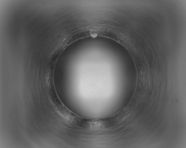 X0000067840698200604201242