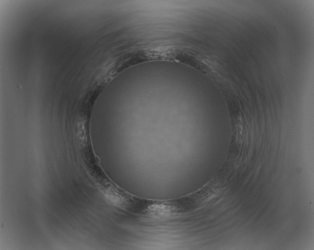 X0000067840699200604201242