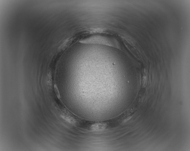 X0000067840700200604201242