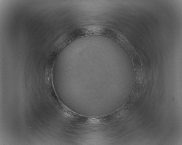 X0000067840701200604201242