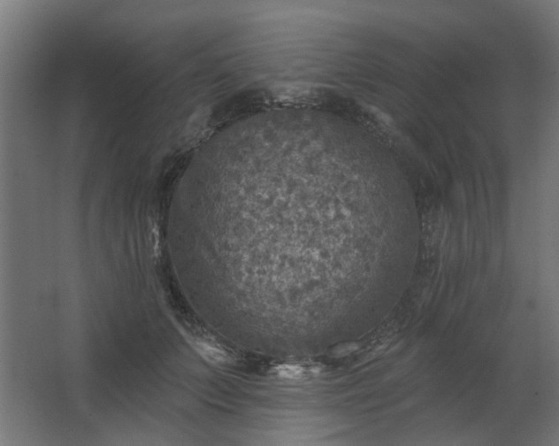 X0000067840703200604201242