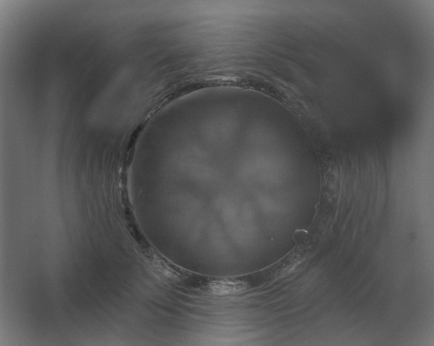 X0000067840707200604201241