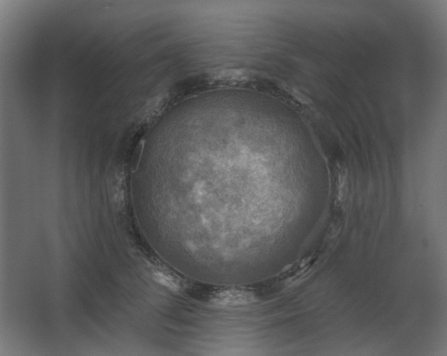 X0000067840708200604201241