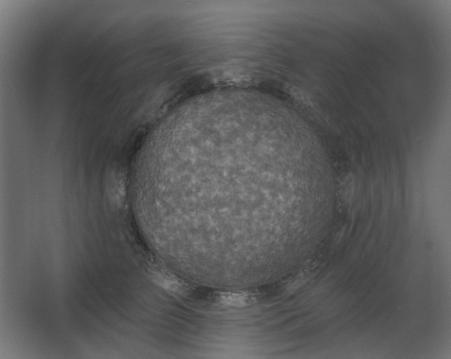 X0000067840709200604201241