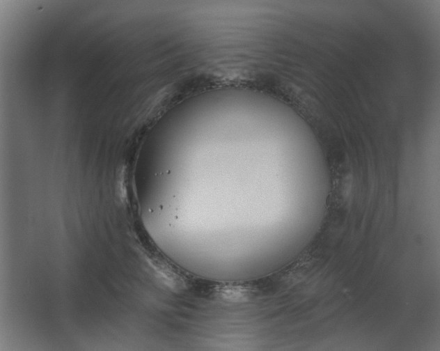 X0000067840710200604201241