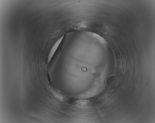 X0000067840711200604201241