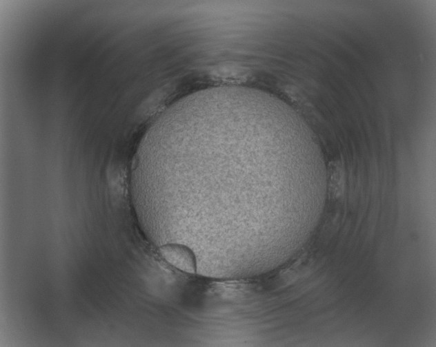 X0000067840713200604201241