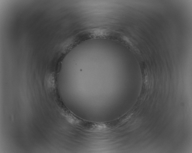 X0000067840715200604201241