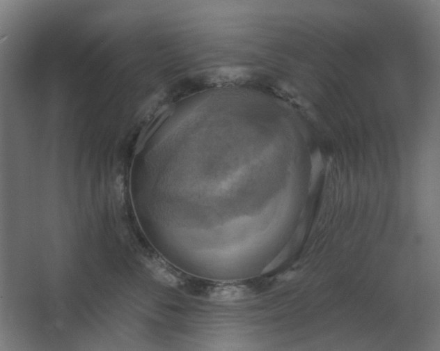 X0000067840716200604201241