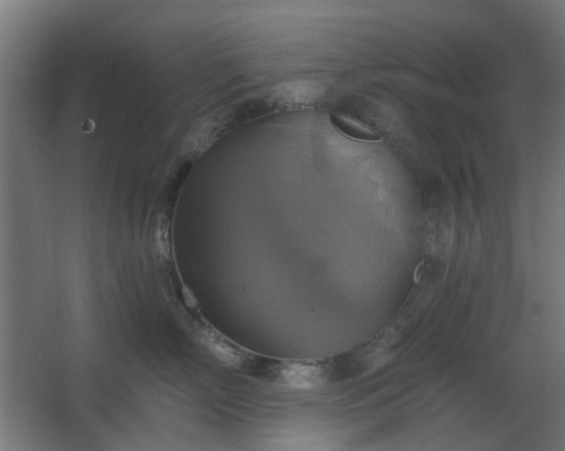 X0000067840718200604201241