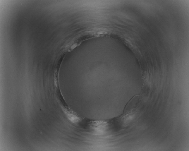 X0000067840719200604201241