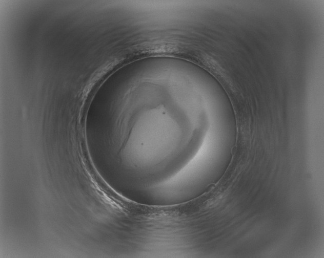 X0000067840721200604201240