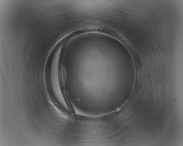 X0000067840722200604201240