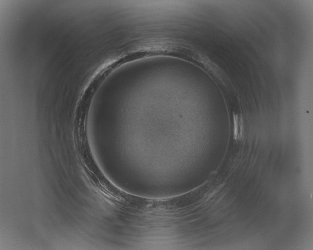 X0000067840723200604201241