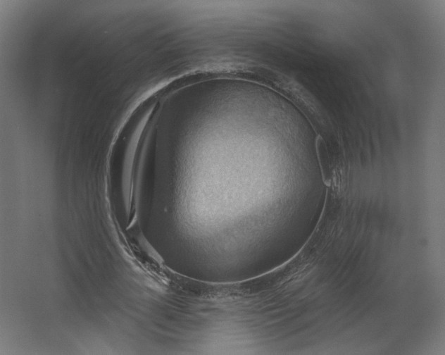 X0000067840724200604201241