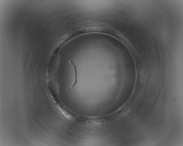 X0000067840729200604201241