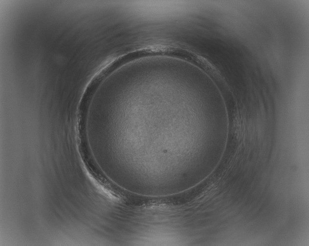 X0000067840730200604201241