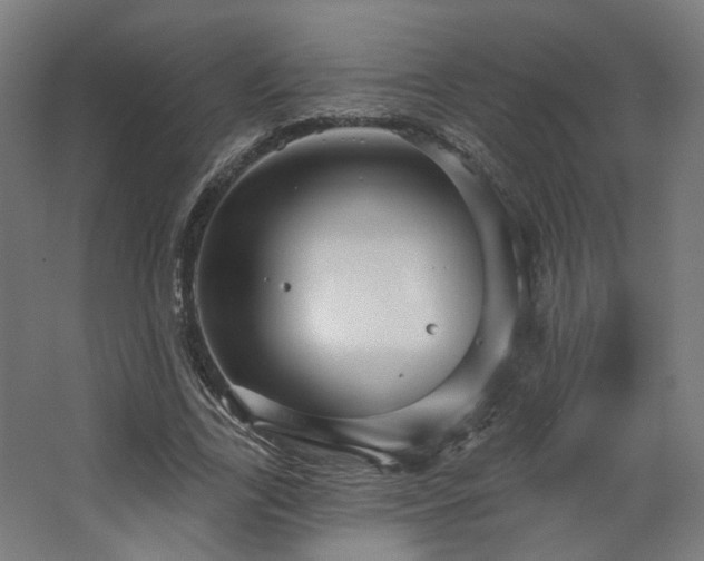 X0000067840731200604201241