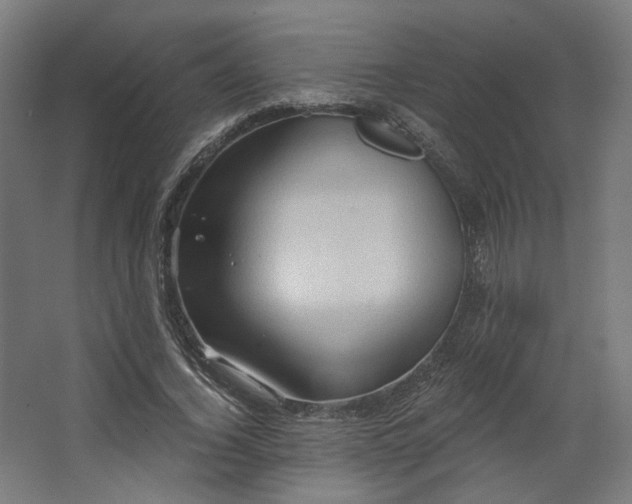 X0000067840732200604201241