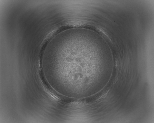 X0000067840733200604201241