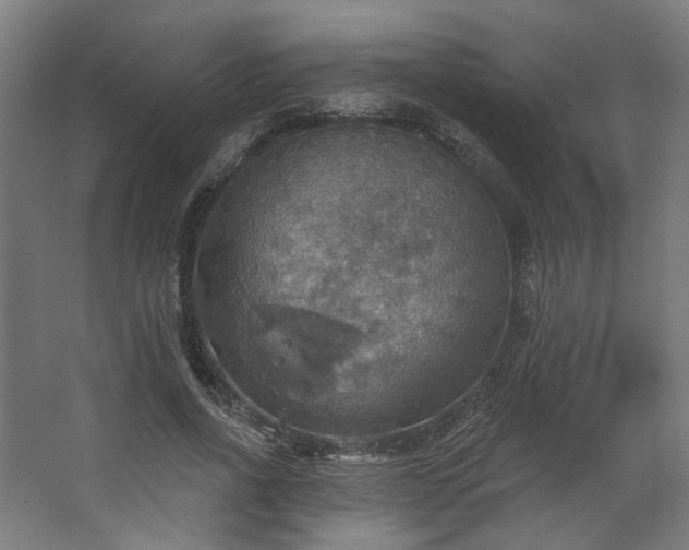 X0000067840734200604201241