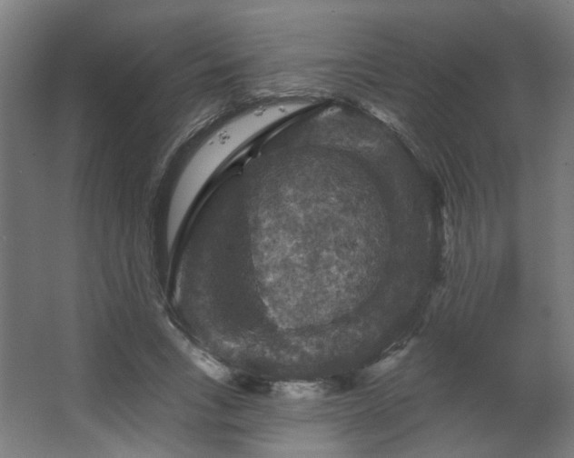 X0000067840735200604201241