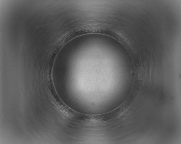 X0000067840737200604201241