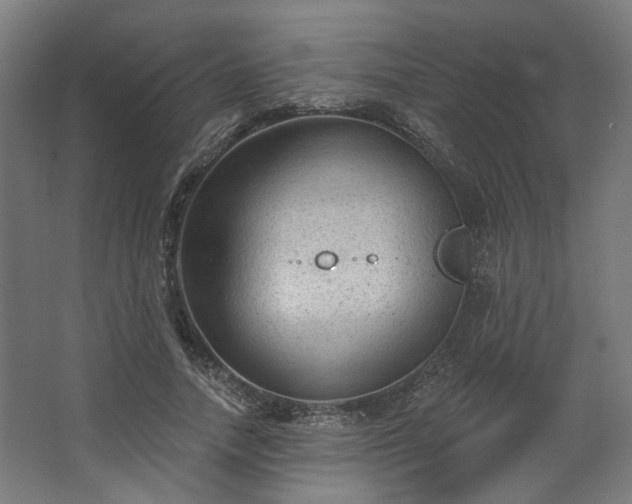 X0000067840738200604201241