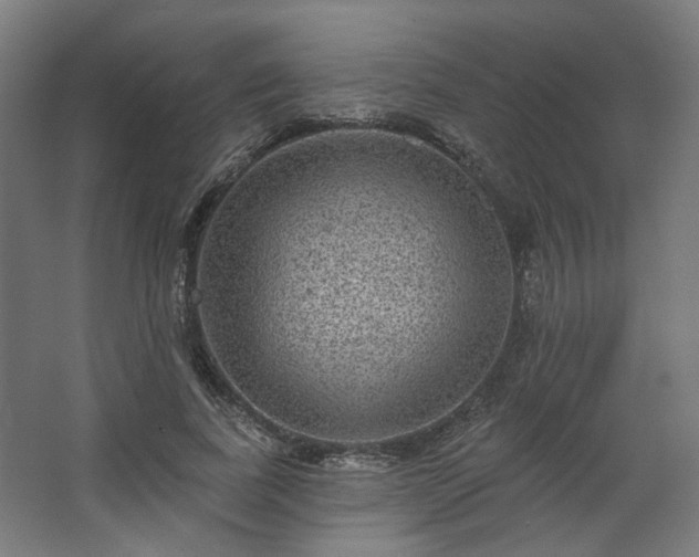 X0000067840739200604201241