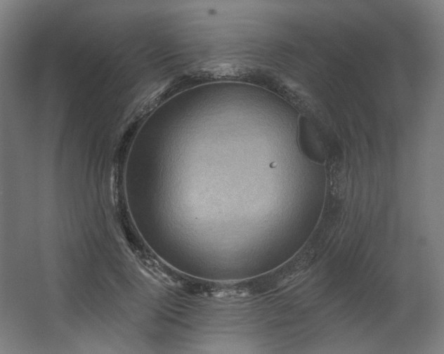 X0000067840740200604201241