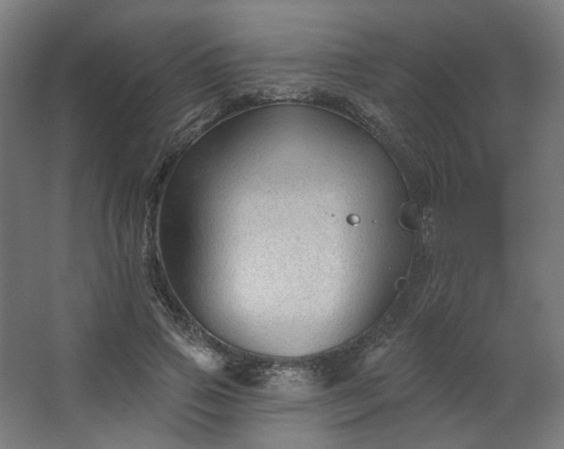 X0000067840741200604201241