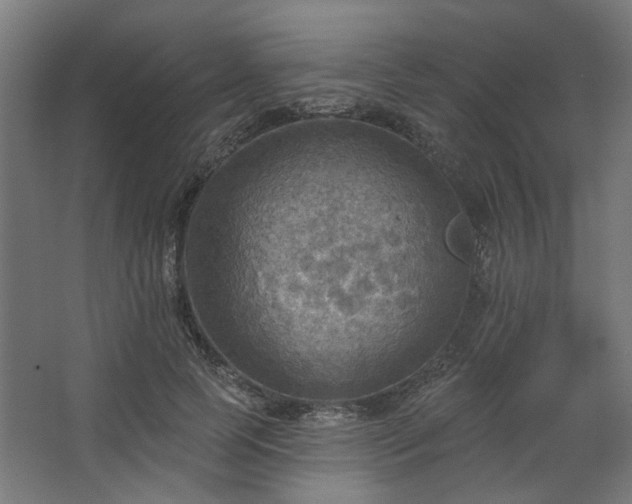 X0000067840745200604201241