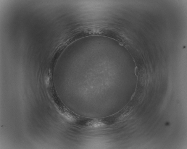 X0000067840747200604201241