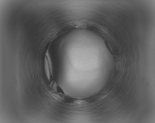 X0000067840748200604201241