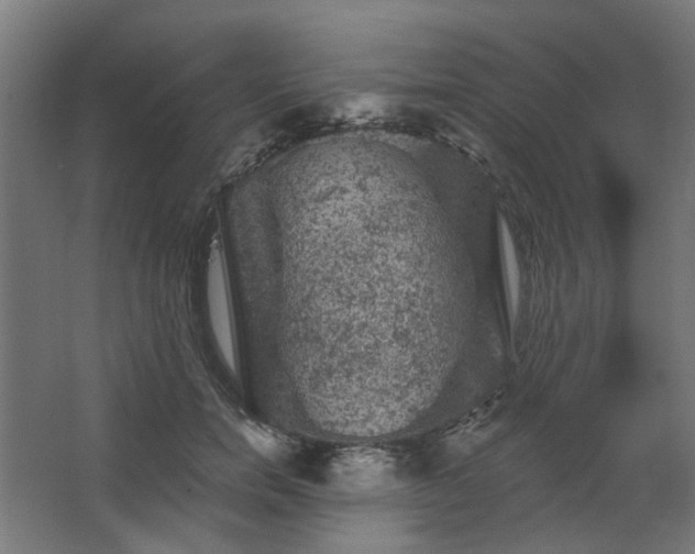 X0000067840750200604201241