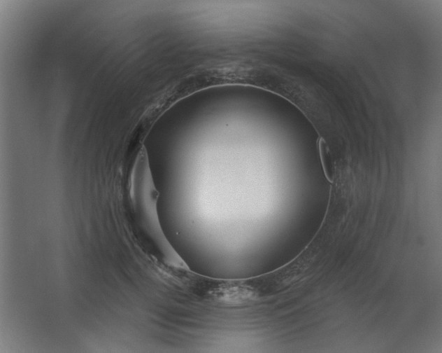 X0000067840752200604201241