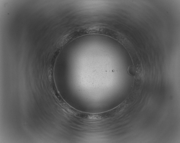 X0000067840753200604201241