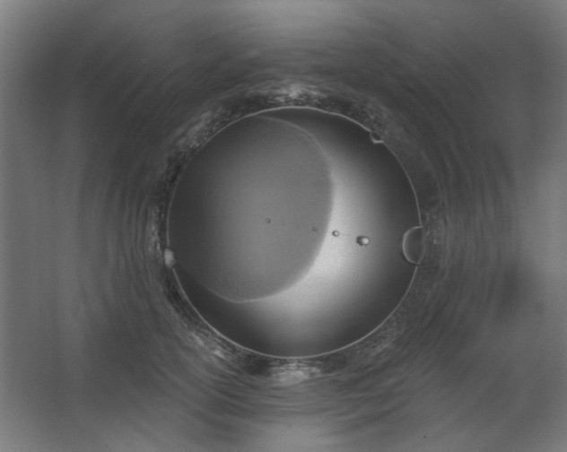 X0000067840754200604201241