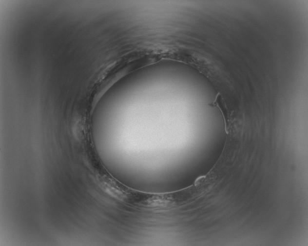 X0000067840756200604201241