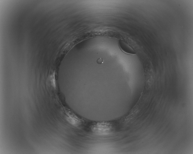 X0000067840758200604201241