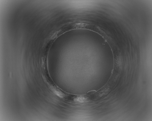 X0000067840759200604201241