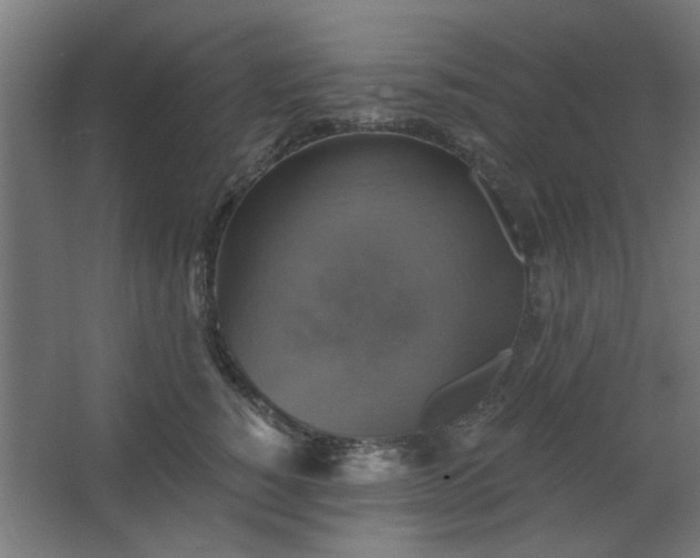 X0000067840760200604201241