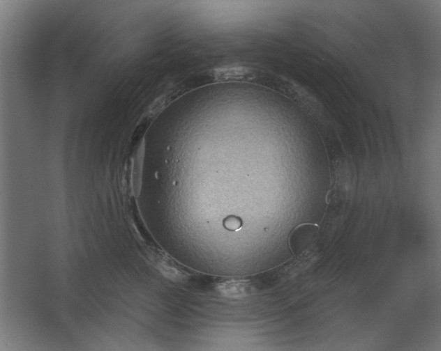 X0000067840761200604201241