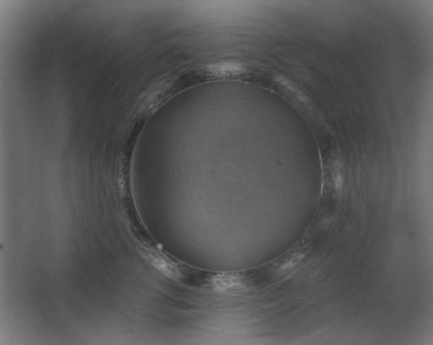 X0000067840762200604201241