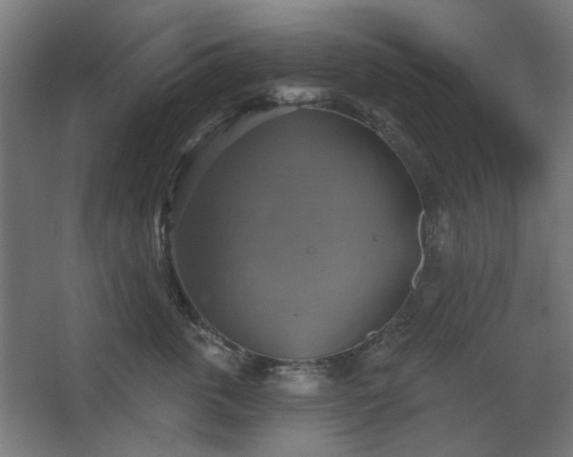 X0000067840763200604201241